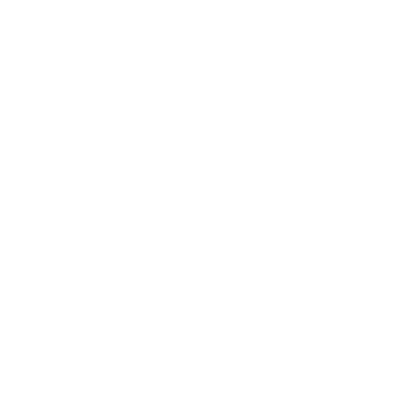 Customs facilities